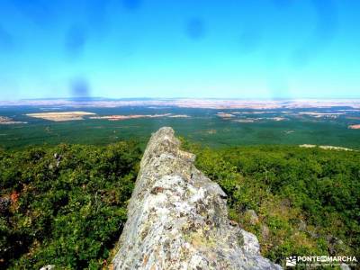 Robledal Riaza-Ermita de Hontanares;viajes mayores comunidad de madrid brújula pico del alba